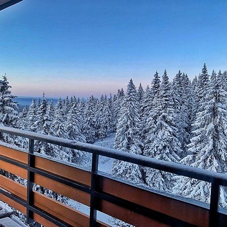 Hotel Petrovy Kameny Karlova Studánka Esterno foto